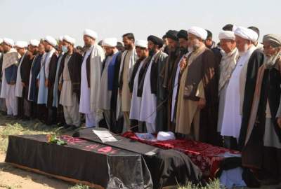 Hekmatyar: All Afghans should join the fight against terrorism