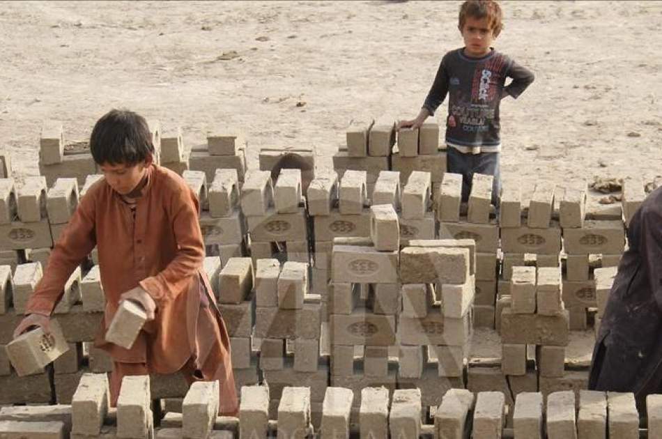 ۱۹ درصد کودکان در افغانستان کارگری می‌کنند