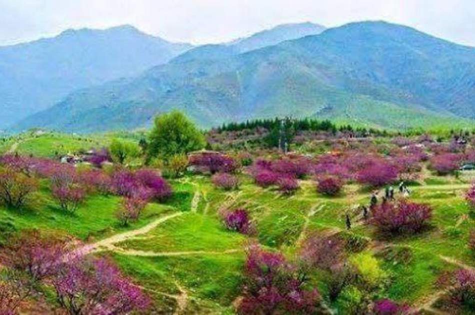 During Eid, 20 thousand tourists visited the natural places of Parwan