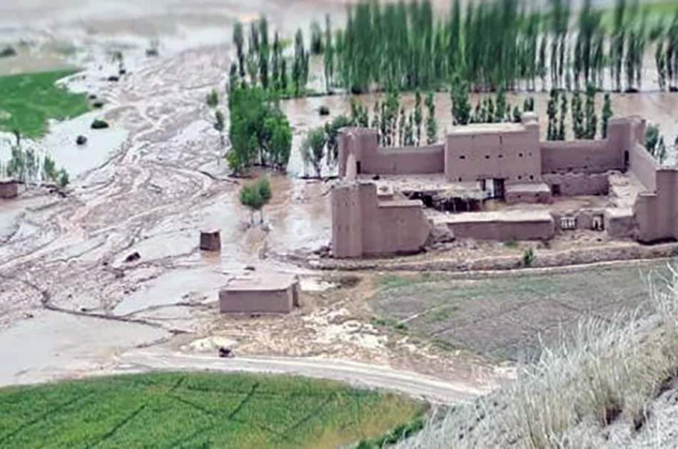 Flooding in Bamiyan leaves seven dead, 10 missing