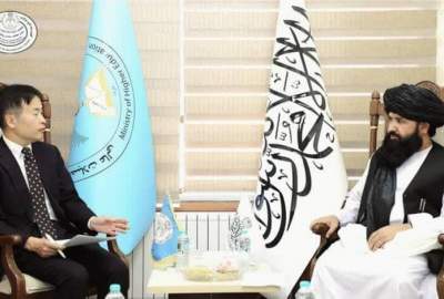 Education Minister Nadeem met with the Japanese ambassador about bilateral cooperation