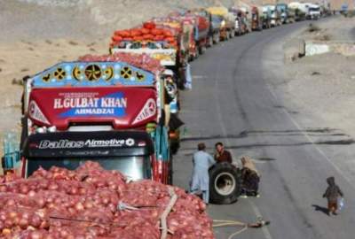 توقف صادرات میوه و سبزی افغانستان به پاکستان به دلیل افزایش تعرفه گمرکی