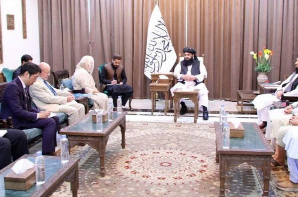 روابط جهان با امارت اسلامی، محور گفت‌گوی مولوی عبدالکبیر با رئیس یوناما برای افغانستان