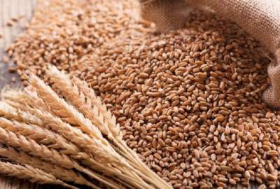 قزاقستان به افغانستان و پاکستان گندم صادر می‌کند