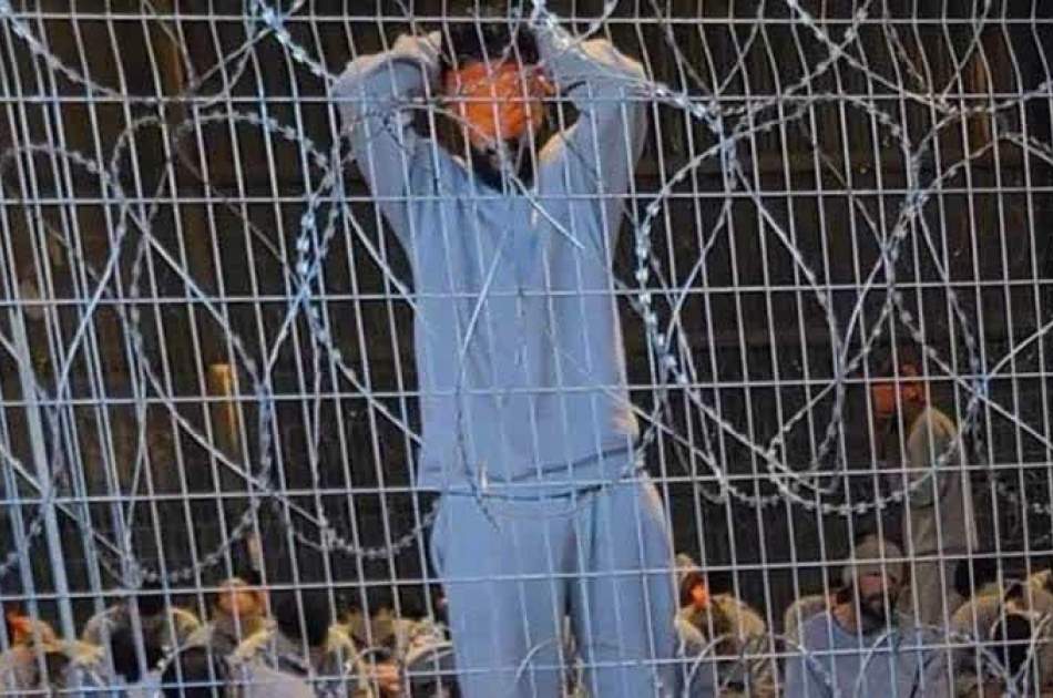 Israel "deliberately" exposes images of torture of prisoners