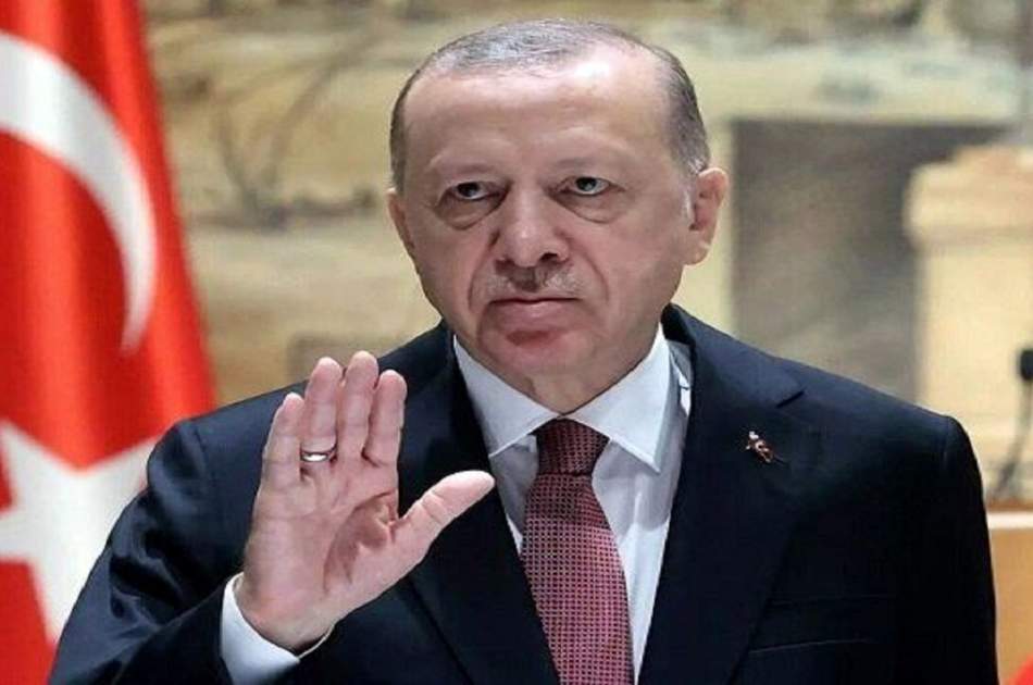 Why did Erdogan